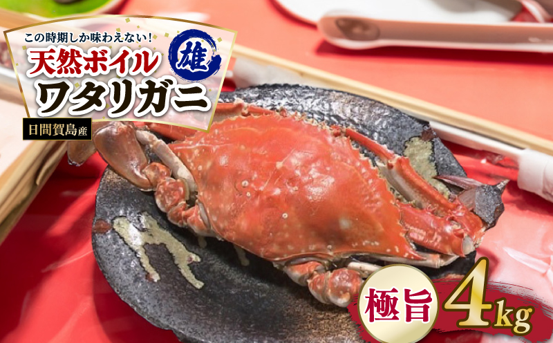 ymmzԉ꓇Y ^Kj 4kg Y Jj 킽肪 nI ɐp ԉ꓇ VN NxQ ӂ邳Ɣ[ŃJj Jj Jj   CN [H ͂ NxQ ① VN y ӂ͂ Ăɍ