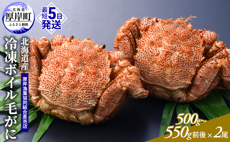 ykCݒz󂠂 3DⓀ kCYⓀ{Cт 500g`550gO×2 [ уJj I уKj Jj  ]