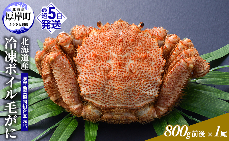 ykCݒz󂠂 3DⓀ kCYⓀ{Cт 800gO×1 [ уJj I уKj Jj  ]