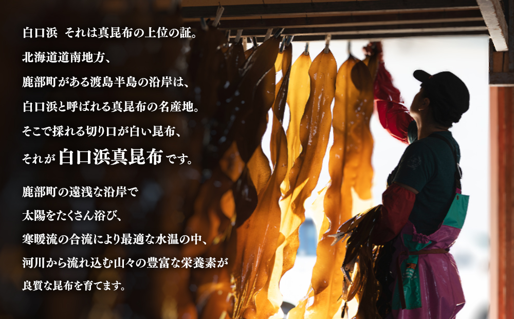 【2026年1月中旬発送】白口浜真昆布使用 根昆布だし 500ml×6本 だし 出汁 昆布 こんぶ かつおぶし 鰹節