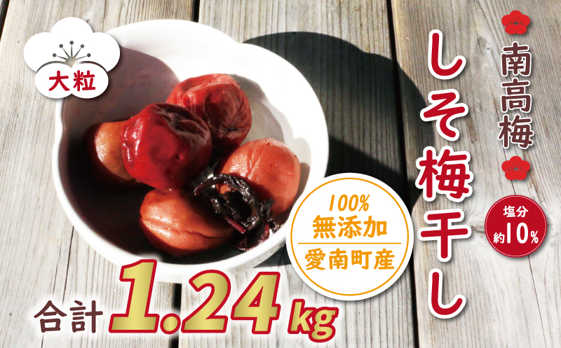 yQ쒬zʌ 썂~ 嗱 Ђ ~ 1.24kg   10% 8000~ I ƒp ~ ~ ߂ڂ  E V\ h 1kg ȏ Y Е  sNX   ۑ Y Yn Rh _ƒ  ֗ ȃsNX 쒬 Q