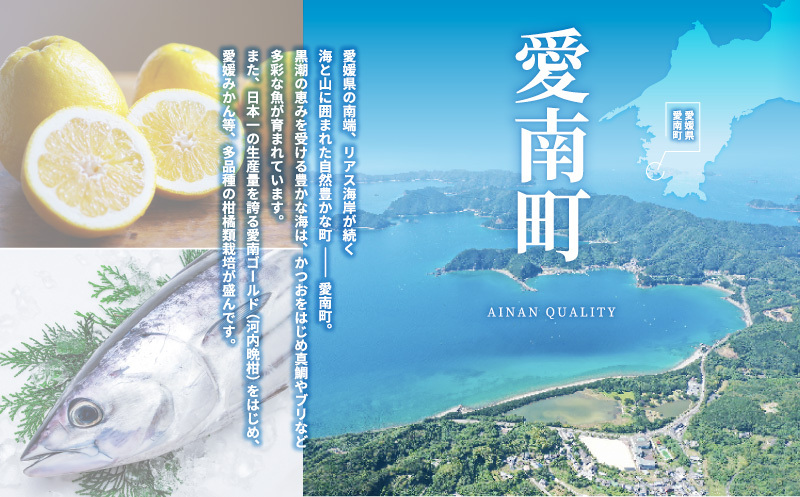 数量限定 南高梅 大粒 しそ漬け 梅干し 1.24kg 塩分 約 10% 8000円 無選別 家庭用 梅 梅干 うめぼし うめ ウメ シソ 紫蘇 1kg 以上 国産 漬物 つけもの ピクルス おかず 常備 保存 無添加 産地直送 自然派 農家直送 小分け 便利 ささなピクルス 愛南町 愛媛県