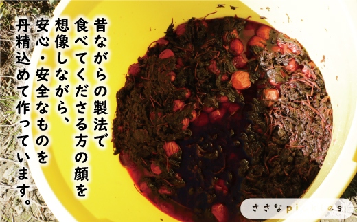 数量限定 南高梅 大粒 しそ漬け 梅干し 1.24kg 塩分 約 10% 8000円 無選別 家庭用 梅 梅干 うめぼし うめ ウメ シソ 紫蘇 1kg 以上 国産 漬物 つけもの ピクルス おかず 常備 保存 無添加 産地直送 自然派 農家直送 小分け 便利 ささなピクルス 愛南町 愛媛県