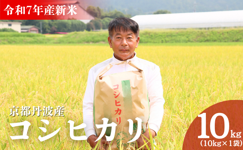 ys{Oszߘa7NY sOgY RVqJ 10kg  Ђ  