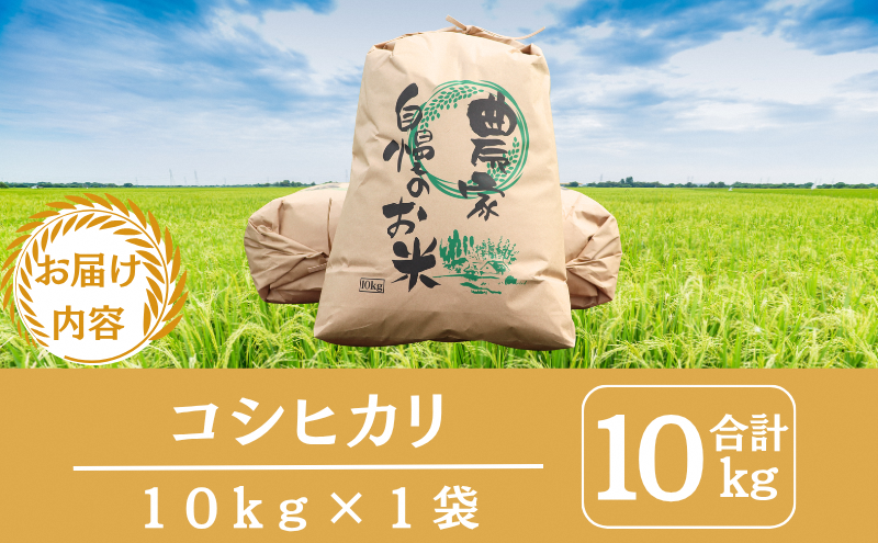令和7年産 京都丹波産 コシヒカリ 10kg 米 こしひかり 精米 白米 