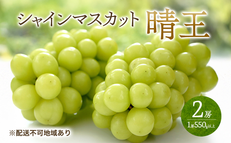 �y���R�����˓��s�z�Ԃǂ� 2026�N ��s�\�� �V���C�� �}�X�J�b�g ����  2�[ �i1�[550g�ȏ�j �}�X�J�b�g �u�h�E ����  ���R���Y ���Y �t���[�c �ʕ� �M�t�g ���Ύ���