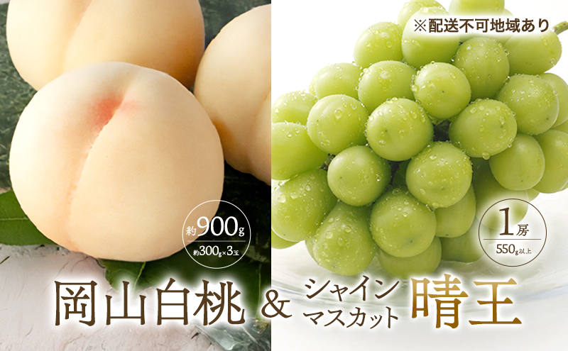 �y���R�����˓��s�z�� �Ԃǂ� 2026�N ��s�\�� ���� 3�� ���v��900g �i1�ʖ�300g�j �V���C���}�X�J�b�g ���� 1�[ 550g�ȏ� ���� ���� �l���� ���R ���Y �t���[�c �ʕ� �M�t�g ���Ύ���