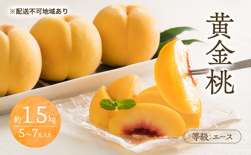 �y���R�����˓��s�z�� 2026�N ��s�\�� ������ ���� �G�[�X ��1.5kg 5�`7�ʓ��� ���� ���� ���R ���Y �t���[�c �ʕ� ���Ύ���