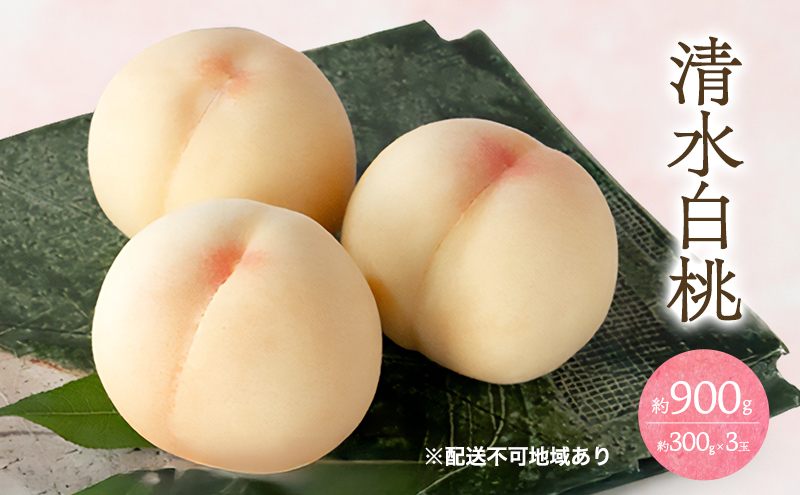 �y���R�����˓��s�z�� 2026�N ��s�\�� ���� ���� 3�� ���v��900g �i1�ʖ�300g�j ���� ���� ���R ���Y �t���[�c �ʕ� �M�t�g ���Ύ���