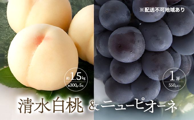 yR˓sz Ԃǂ 2026N s\   5 1.5kg 1ʖ300g j[ sI[l 1[ 550gȏ  l R Y t[c ʕ Mtg Ύ