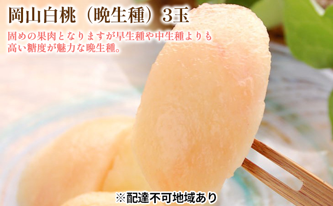 �y���R�����˓��s�z�ł߂� �� 2026�N ��s�\�� ���� �Ӑ��� 3�� ���v��900g �i1�ʖ�300g�j ���� ���� ���R ���Y �t���[�c �ʕ� �M�t�g ���Ύ���