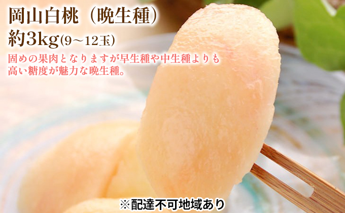 固めの 桃 2026年 先行予約 白桃 晩生種 3kg 9～12玉 もも モモ 岡山 国産 フルーツ 果物 ギフト 桃茂実苑