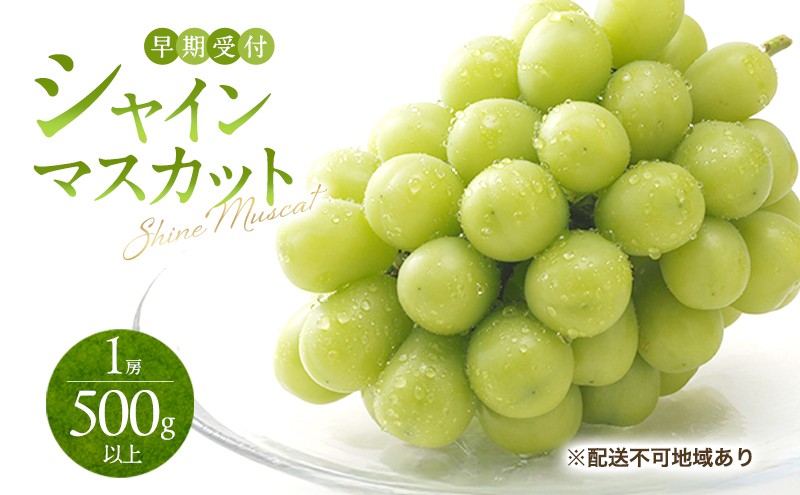 yR˓szԂǂ t VC }XJbg 1[i500gȏj uhE  RY Y t[c ʕ Mtg Ύ