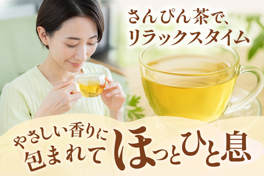 琉球ビバレッジ さんぴん茶角ボトル 500ml×24本
