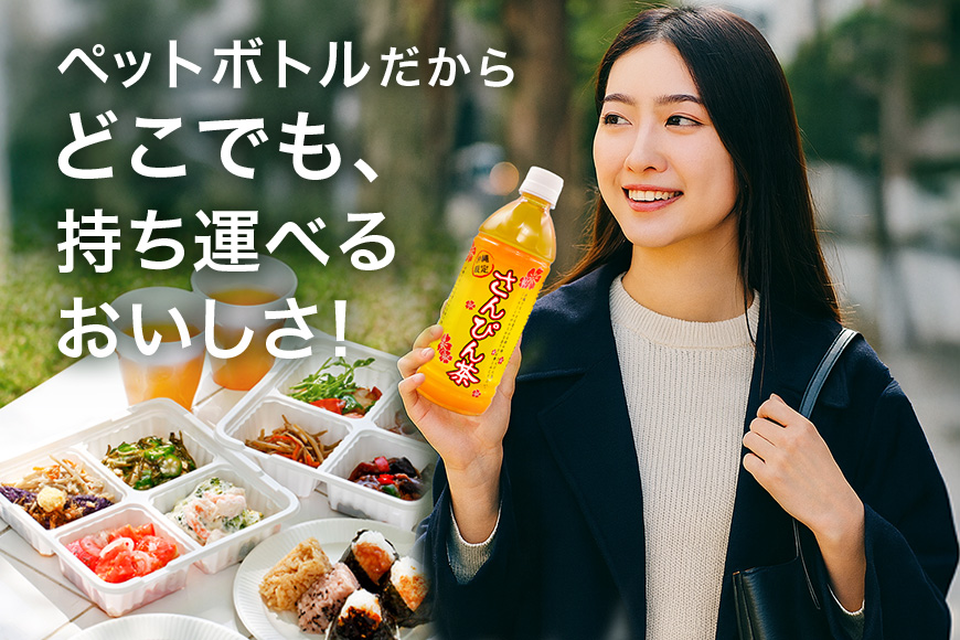 琉球ビバレッジ さんぴん茶 ペットボトル 500ml×24本