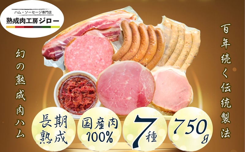 【ふるさと納税】【6か月定期便】国産 熟成肉 ハム プレミアムギフトB 詰め合わせ ロースハム ボンレスハム ベーコン あら挽きウインナー ボロニアソーセージ 黒毛和牛 コンビーフ 神奈川県 茅ヶ崎市