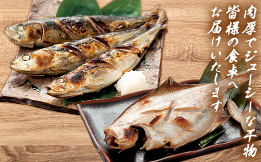 【2026年5月下旬発送】訳あり 干物・切身 セット 4.7kg 規格外 傷 不揃い