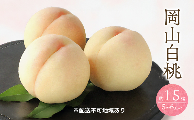 �y���R���ʖ�s�z�� 2026�N ��s�\�� ���� 1.5kg 5�`6�� ���� ���� ���R ���Y �t���[�c �ʕ� �M�t�g ���Ύ���