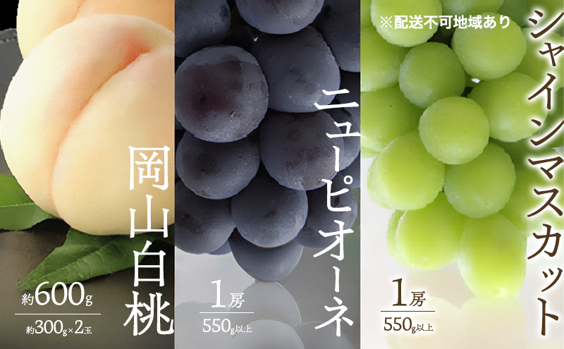 �y���R���ʖ�s�z�� �Ԃǂ� 2026�N ��s�\�� ���� 2�� ���v��600g �i1�ʖ�300g�j �V���C���}�X�J�b�g ���� �j���[�s�I�[�l �e1�[ 550g�ȏ� ���� ���� �l���� ���R ���Y �t���[�c �ʕ� �M�t�g ���Ύ���