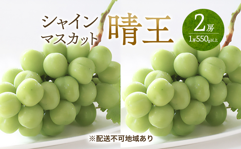 yRʖszԂǂ 2026N s\ VC }XJbg   2[ i1[550gȏj }XJbg uhE   RY Y t[c ʕ Mtg Ύ