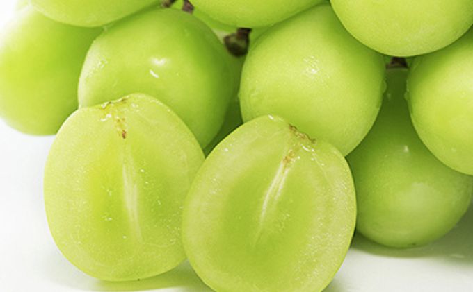 ぶどう 2026年 先行予約 シャイン マスカット 晴王  2房 （1房550g以上） マスカット ブドウ 葡萄  岡山県産 国産 フルーツ 果物 ギフト 桃茂実苑