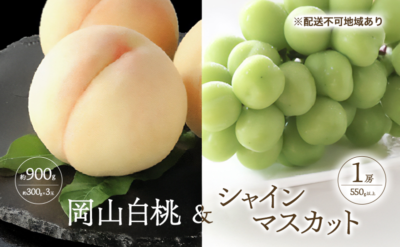 �y���R���ʖ�s�z�� �Ԃǂ� 2026�N ��s�\�� ���� 3�� ���v��900g �i1�ʖ�300g�j �V���C���}�X�J�b�g ���� 1�[ 550g�ȏ� ���� ���� �l���� ���R ���Y �t���[�c �ʕ� �M�t�g ���Ύ���