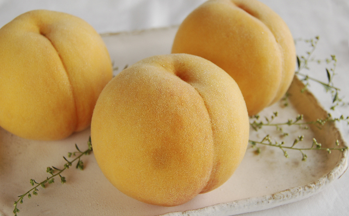 桃 2026年 先行予約 黄金桃 3玉 合計約900g （1玉約300g） もも モモ 岡山 国産 フルーツ 果物 ギフト 桃茂実苑