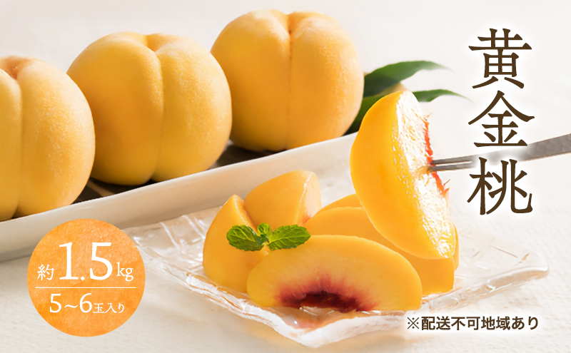 �y���R���ʖ�s�z�� 2026�N ��s�\�� ������ 1.5kg 5�`6�� ���� ���� ���R ���Y �t���[�c �ʕ� �M�t�g ���Ύ���