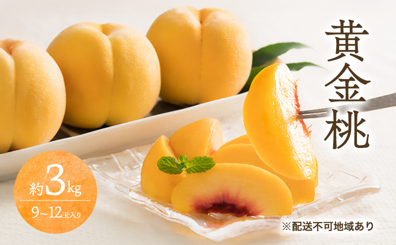 �y���R���ʖ�s�z�� 2026�N ��s�\�� ���� �� 3kg 9�`12�� ���� ���� ���R ���Y �t���[�c �ʕ� �M�t�g ���Ύ���