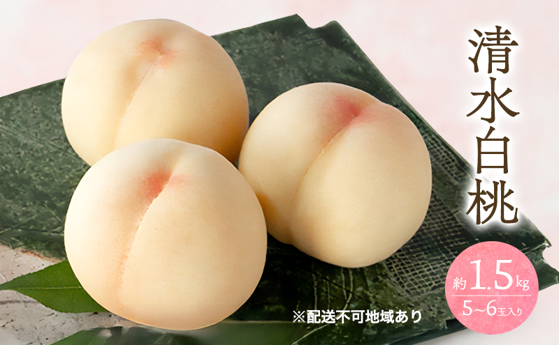 �y���R���ʖ�s�z�� 2026�N ��s�\�� ���� ���� 1.5kg 5�`6�� ���� ���� ���R ���Y �t���[�c �ʕ� �M�t�g ���Ύ���