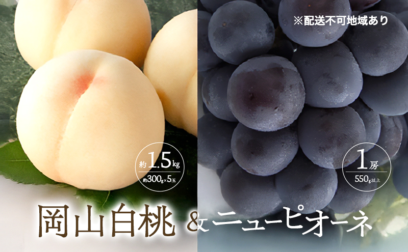 �y���R���ʖ�s�z�� �Ԃǂ� 2026�N ��s�\�� ���� ���� 5�� ��1.5kg 1�ʖ�300g �j���[ �s�I�[�l 1�[ 550g�ȏ���� ���� �l���� ���R ���Y �t���[�c �ʕ� �M�t�g ���Ύ���