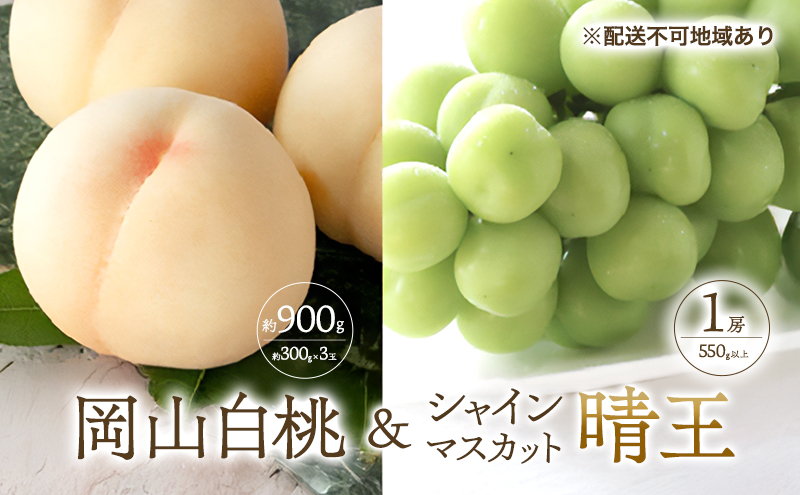 �y���R���ʖ�s�z�� �Ԃǂ� 2026�N ��s�\�� ���� ���� 3�ʍ��v ��900g �i1�ʖ�300g�j �V���C���}�X�J�b�g ���� 1�[ 550g�ȏ���� ���� �l���� ���R ���Y �t���[�c �ʕ� �M�t�g ���Ύ���