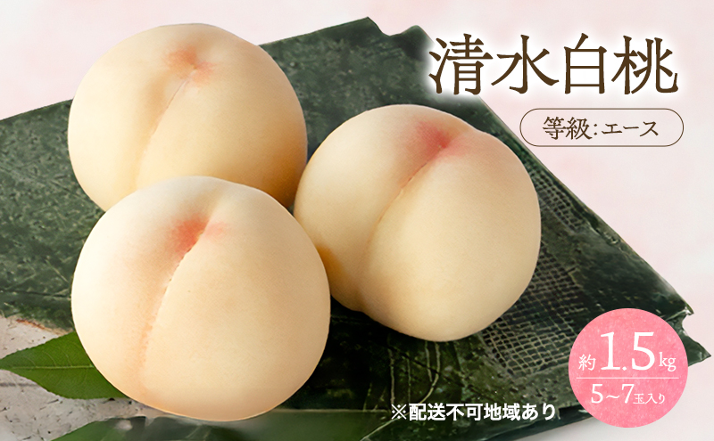 �y���R���ʖ�s�z�� 2026�N ��s�\�� ���� ���� ���� �G�[�X ��1.5kg 5�`7�ʓ������ ���� ���R ���Y �t���[�c �ʕ� ���Ύ���