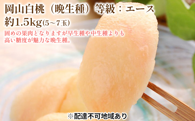 固めの 桃 2026年 先行予約 白桃 晩生種 等級 エース 約1.5kg 5〜7玉 もも モモ 岡山 国産 フルーツ 果物 ギフト 桃茂実苑