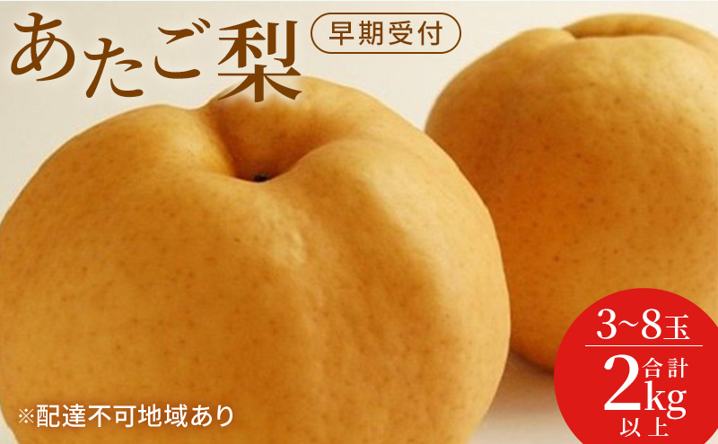 �y���R���ʖ�s�z�� ������t ���R �� ������ �� 3�`8�� ���v2kg�ȏ� �Ȃ� �i�V ���R���Y ���Y �t���[�c �ʕ� �M�t�g���Ύ���