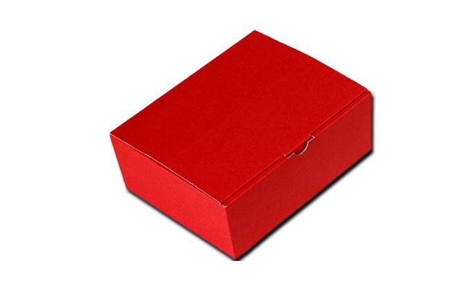 ぶどう 早期受付 シャイン マスカット 1パック（750g以上） ブドウ 葡萄 岡山県産 国産 フルーツ 果物 ギフト 桃茂実苑