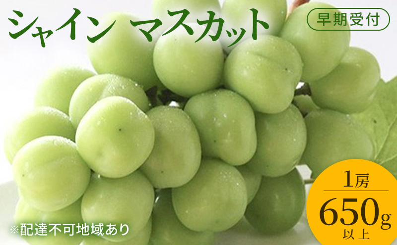 ぶどう 早期受付 シャイン マスカット 1房（650g以上） ブドウ 葡萄 岡山県産 国産 フルーツ 果物 ギフト 桃茂実苑
