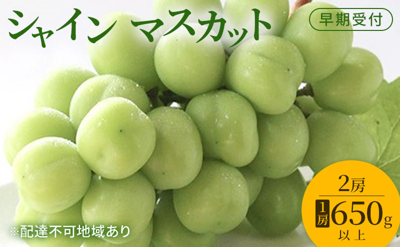 �y���R���ʖ�s�z�Ԃǂ� ������t �V���C�� �}�X�J�b�g 2�[�i1�[650g�ȏ�j �u�h�E ���� ���R���Y ���Y �t���[�c �ʕ� �M�t�g ���Ύ���