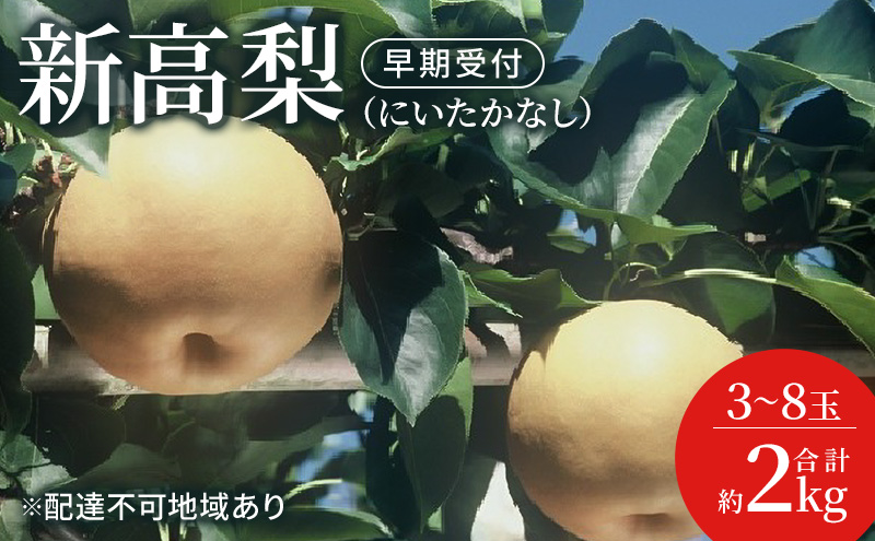 梨 早期受付 新高 梨 (にいたかなし)3〜8玉 合計約2kgなし ナシ 岡山県産 国産 フルーツ 果物 ギフト桃茂実苑 果物類 先行予約