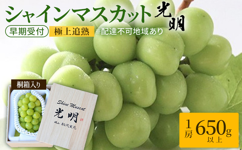 ぶどう 早期受付 極上追熟 シャイン マスカット 1房 650g以上 「光明」桐箱入り ブドウ 葡萄 岡山県産 国産 フルーツ 果物 ギフト 桃茂実苑