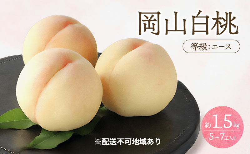 �y���R���ʖ�s�z�� 2026�N ��s�\�� ���� ���� �G�[�X ��1.5kg 5�`7�ʓ��� ���� ���� ���R ���Y �t���[�c �ʕ� ���Ύ���