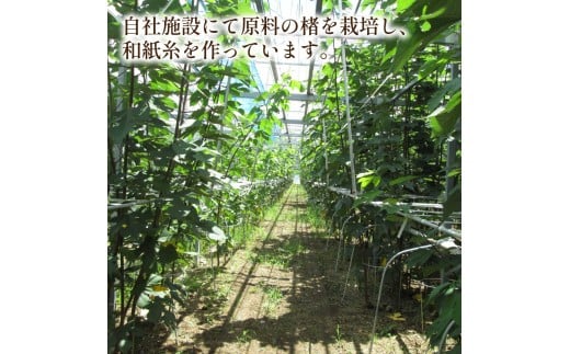 楮絲タペストリー Mサイズ インテリア おしゃれ 壁掛け 和風 水洗い可能 高知県 高知 土佐市