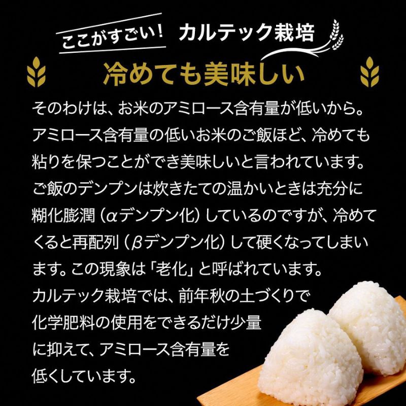 令和7年産 新米 京都丹波産 コシヒカリ 5kg 西村ファーム 京ほたる米