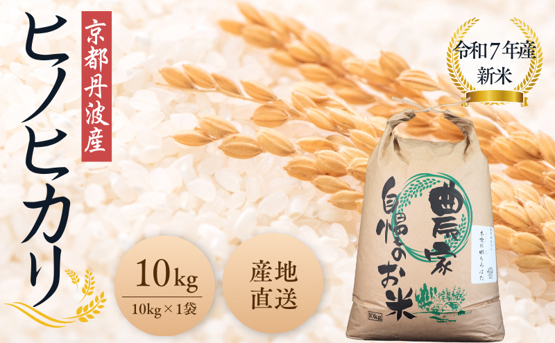 令和7年産新米 京都丹波産ヒノヒカリ 10kg | お米 米 精米 白米