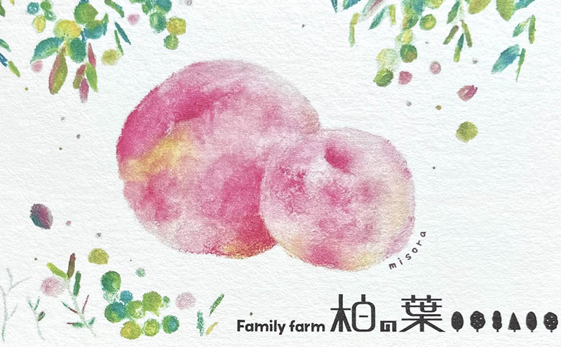 【2026年発送先行予約】　長野県小諸市産　朝採れ　特選大玉桃　3玉（約1kg）【Family farm 柏の葉】