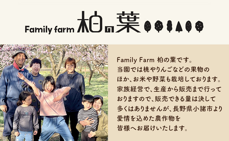 【2026年発送先行予約】　長野県小諸市産　朝採れ　特選大玉桃　3玉（約1kg）【Family farm 柏の葉】