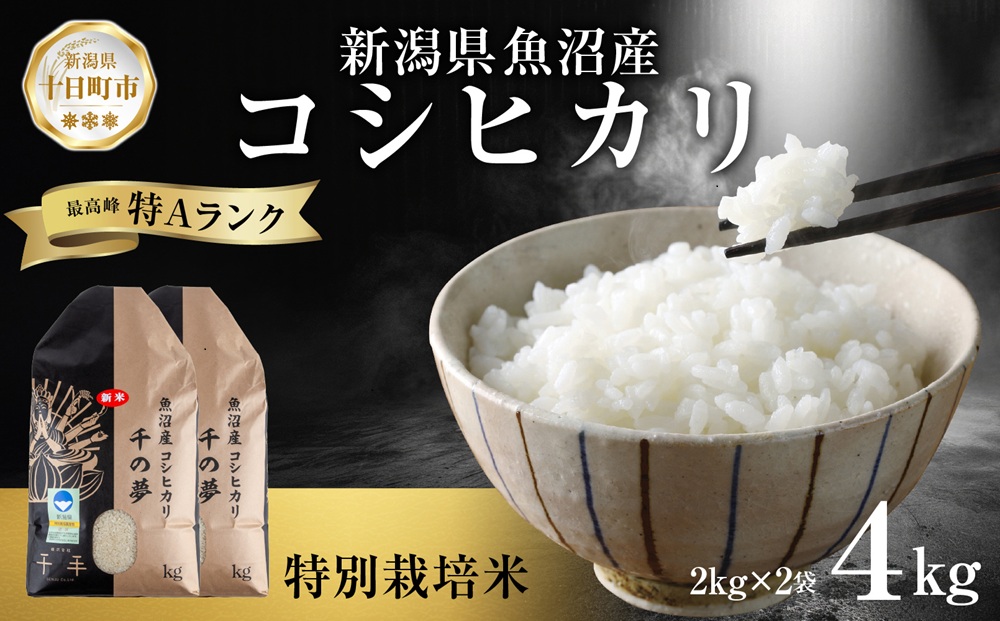 魚沼産コシヒカリ　令和7年産　白米　10キロ　米農家直送② 令和7年産！県認証特別栽培魚沼産コシヒカリ【農家直送！】 6kg(2kg×3