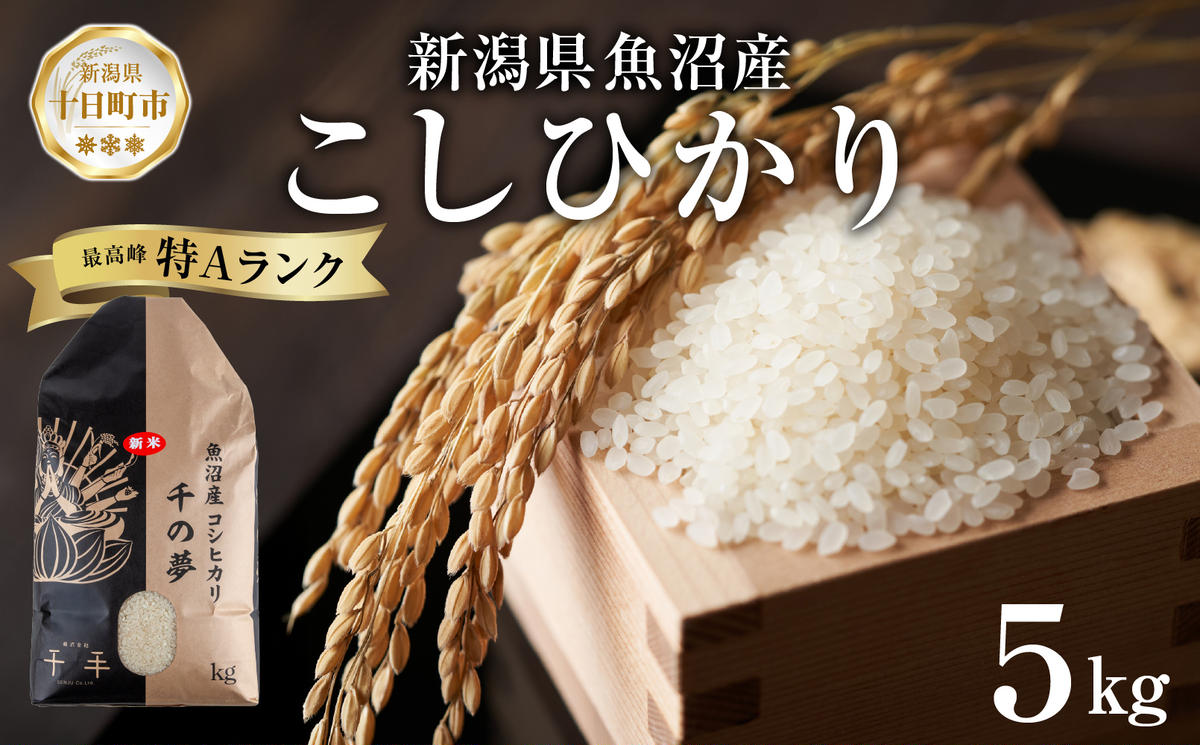 農家直送‼️✨新米✨令和6年産 魚沼産コシヒカリ 30kg