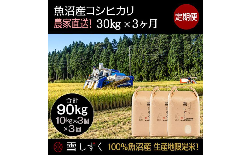 千葉県の食品 新米（コシヒカリ）90kg