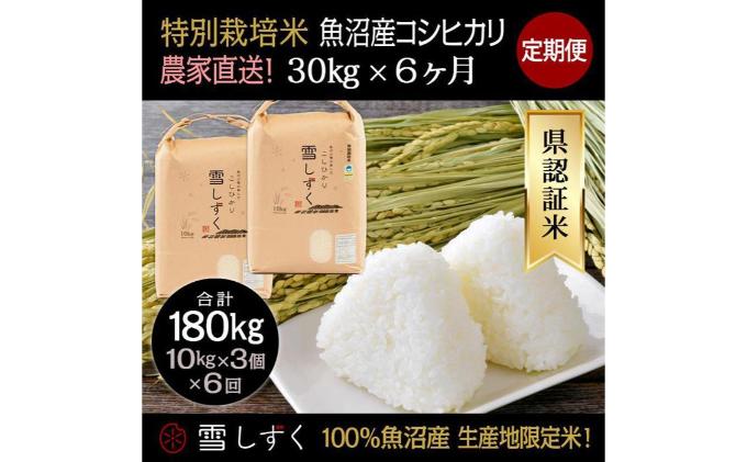 令和7年産】定期便！農家直送！県認証特別栽培魚沼産コシヒカリ【合計 